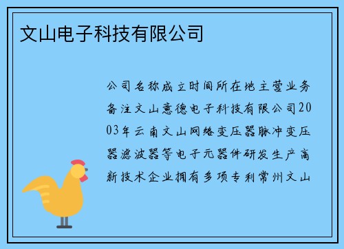 文山电子科技有限公司