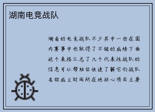 湖南电竞战队
